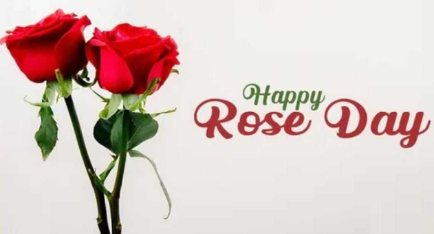 Happy Rose Day Status In Hindi