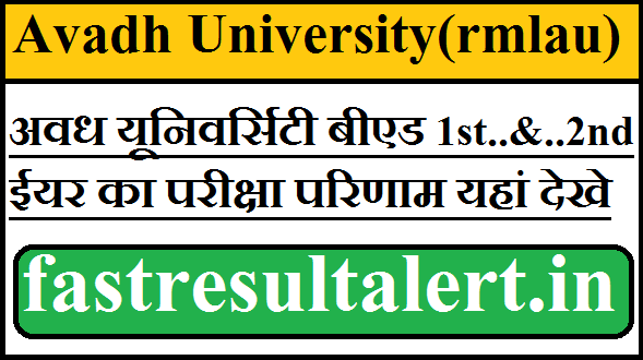 Avadh University BED 1st Year Result 2023